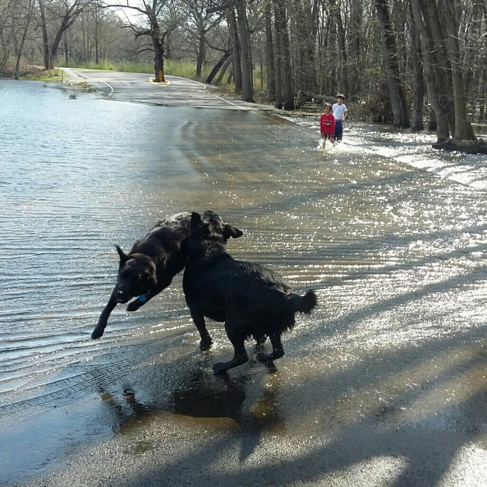 Welcome to my closet